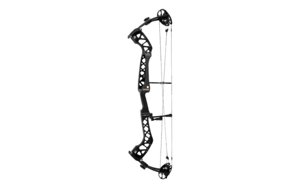 W&W Arion DX