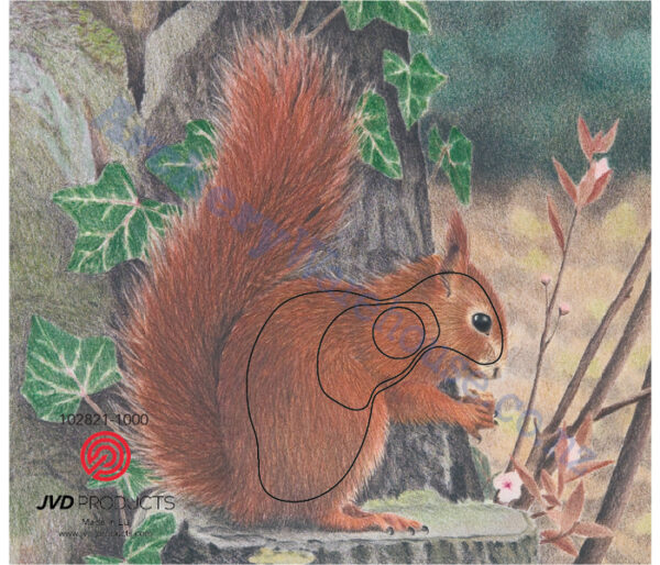 JVD Target Face Animal Squirrel
