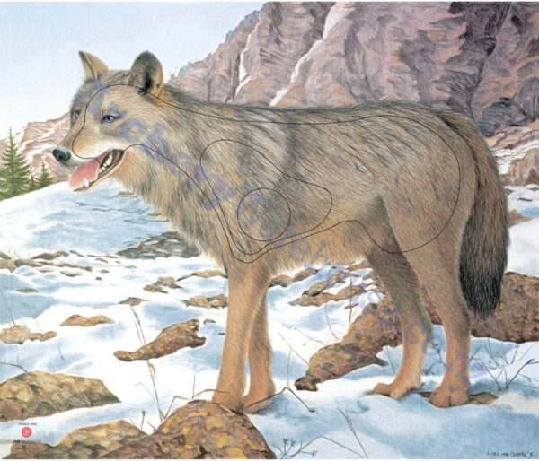 JVD Target Face Animal Wolf
