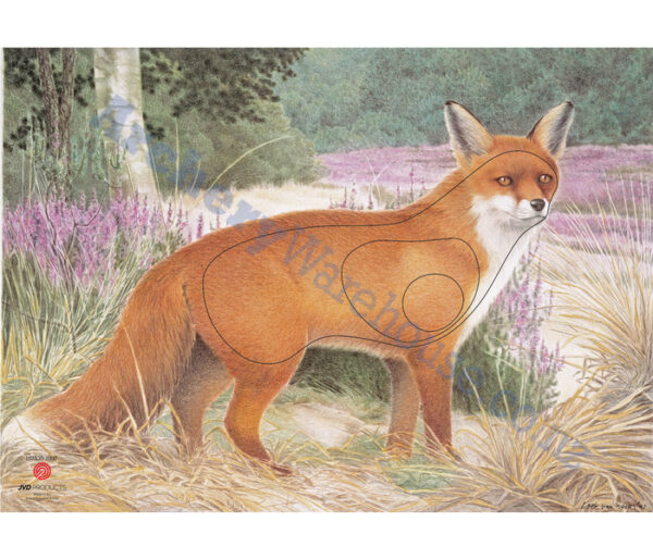 JVD Target Face Animal Fox