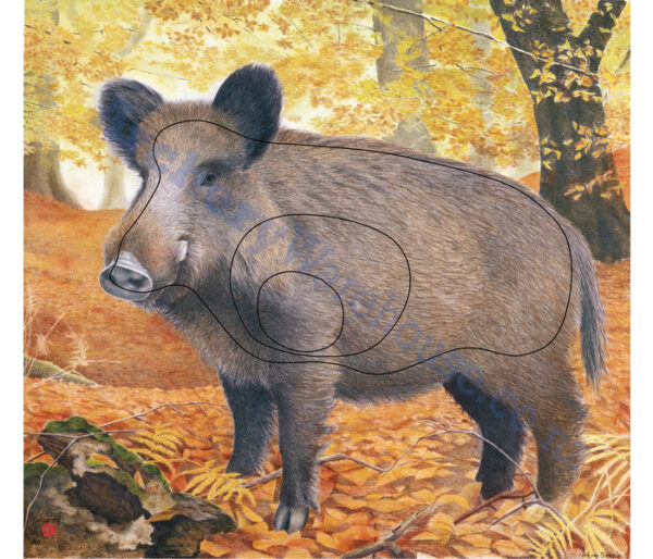 JVD Target Face Animal Wild Boar