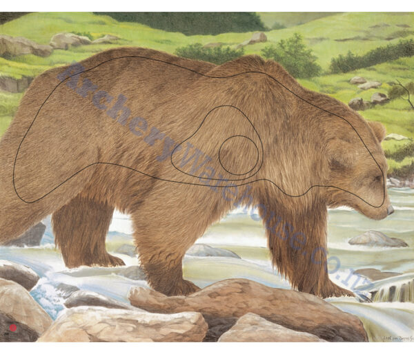 JVD Target Face Animal Bear