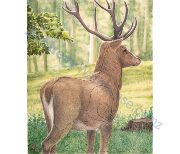 JVD Target Face Animal Large Deer