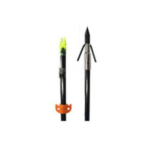 Fishing arrow