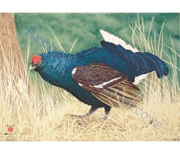 JVD Target Face Animal Blue-Grouse