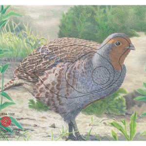 102834 partridge
